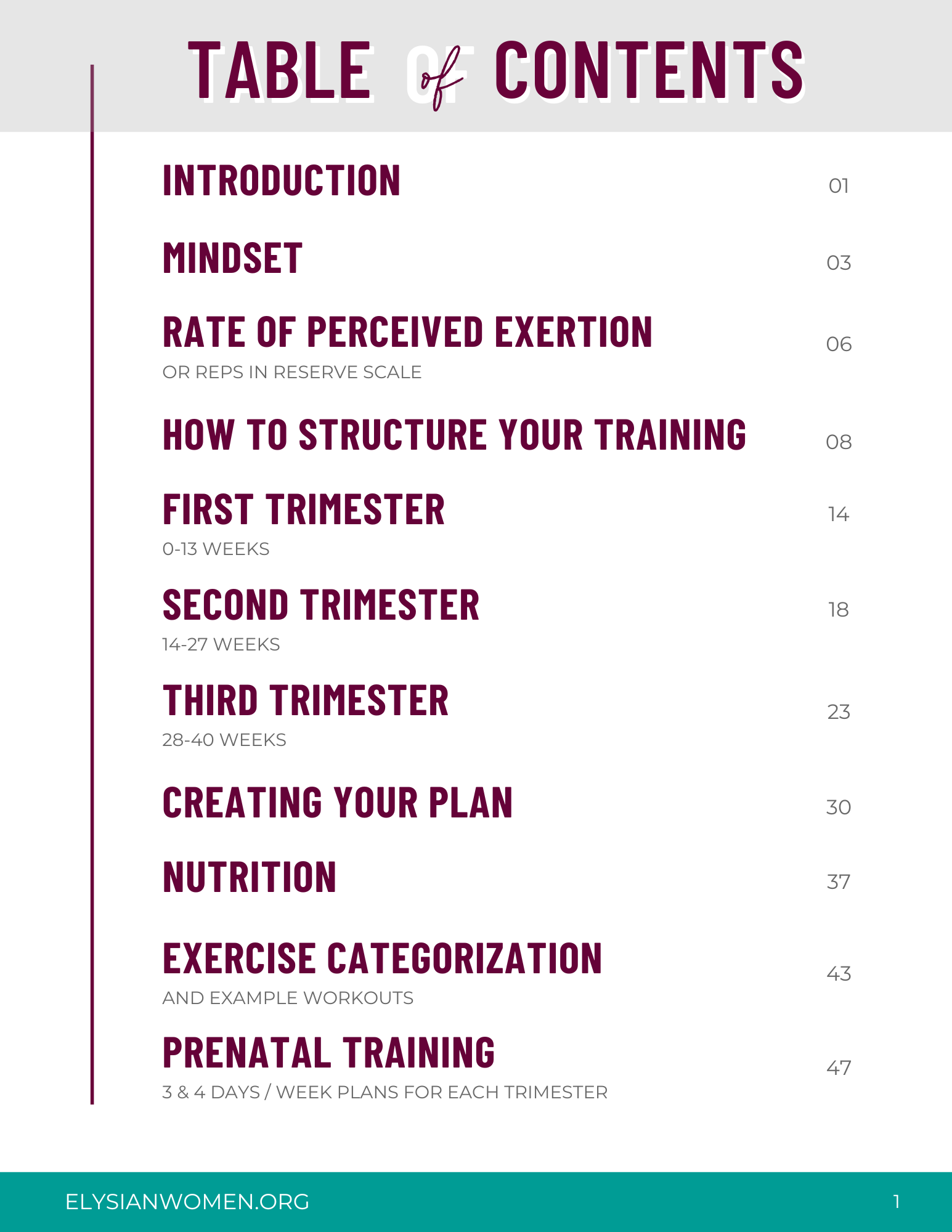 Preggo & Empowered Pre-Natal Training Guide - Image 2
