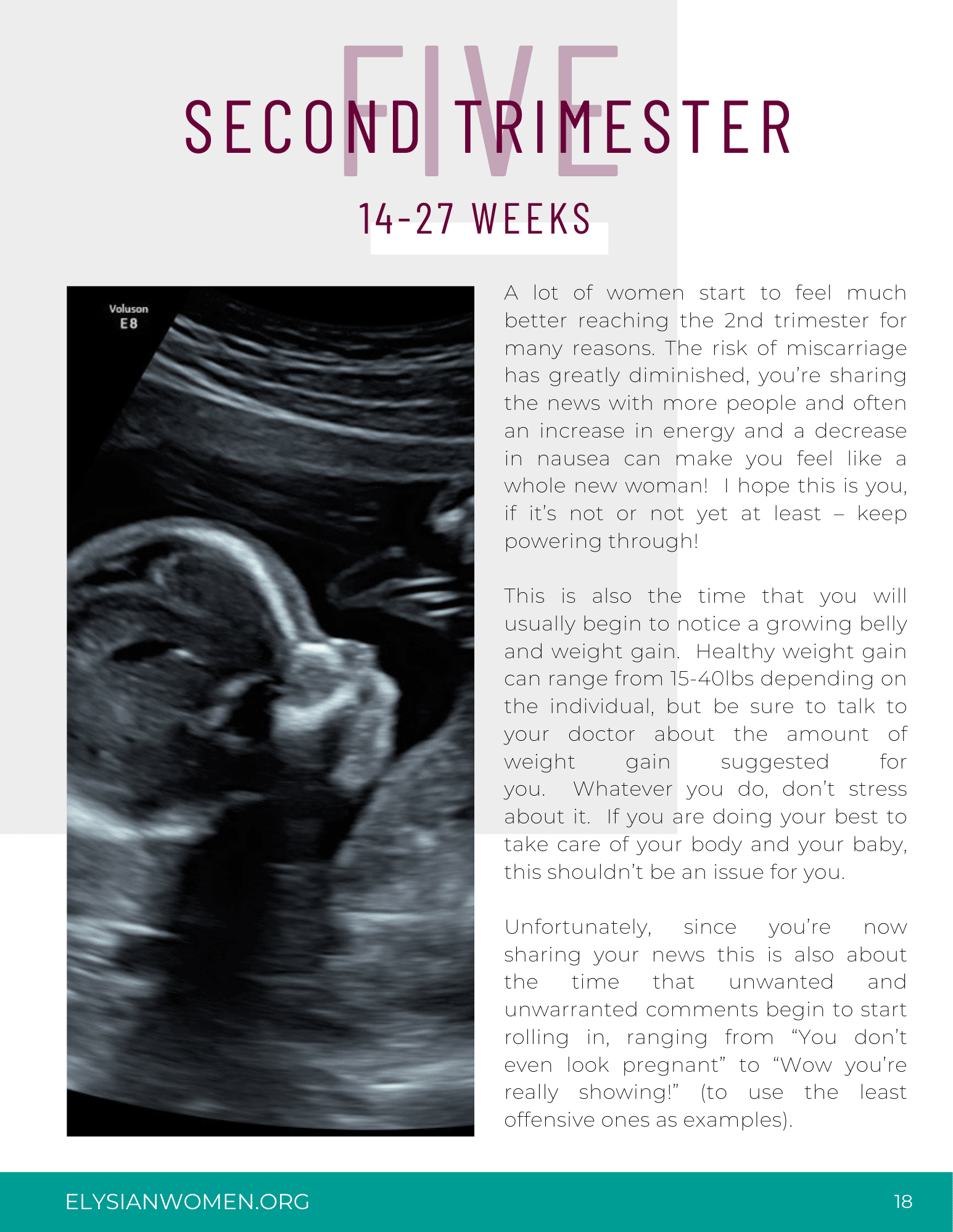Preggo & Empowered Pre-Natal Training Guide - Image 3