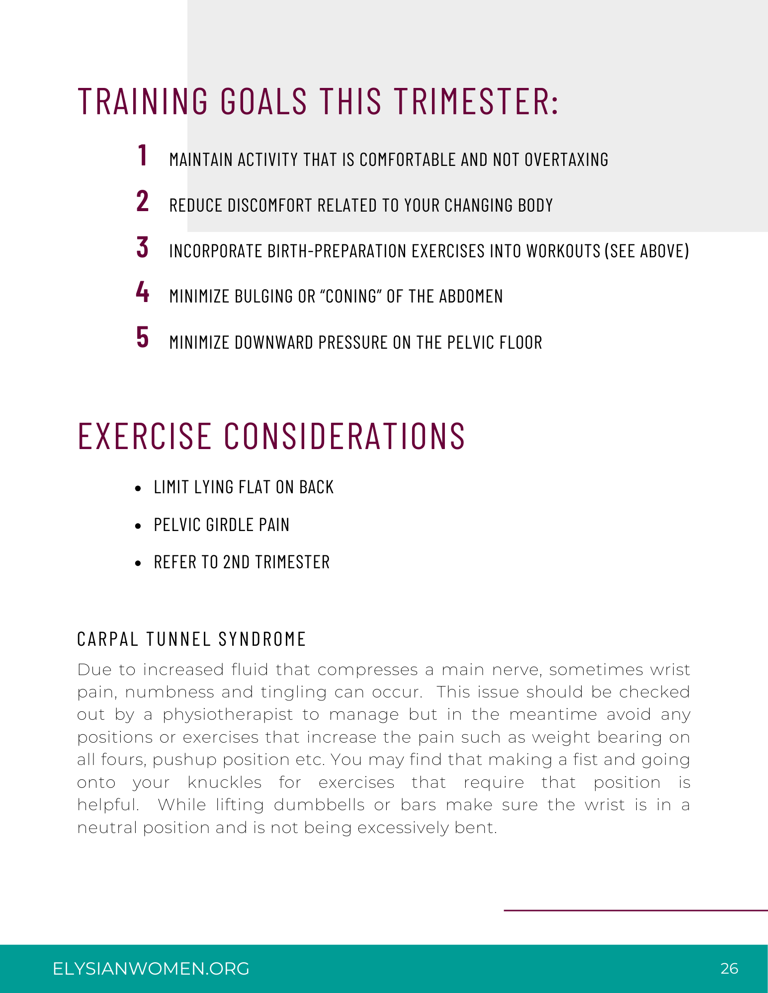 Preggo & Empowered Pre-Natal Training Guide - Image 4